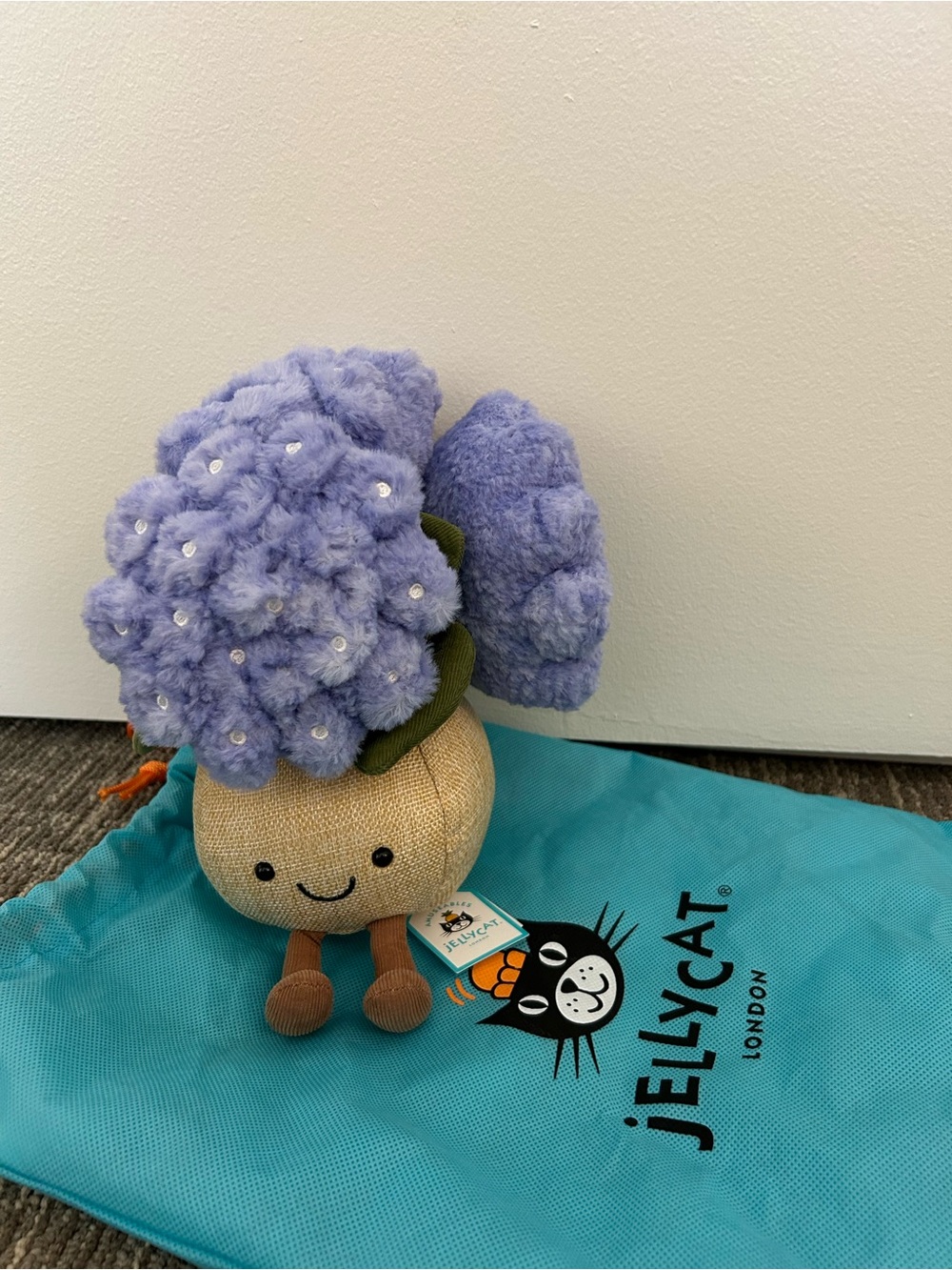 Hydrangea Jelly Cat